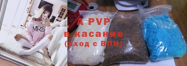 крисы Алексин