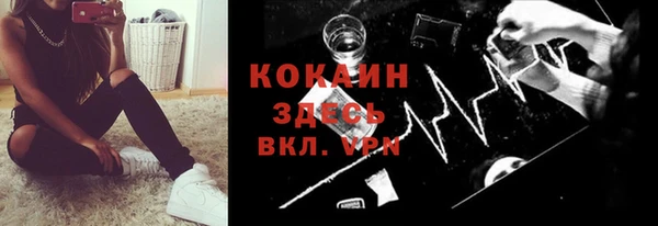 крисы Алексин