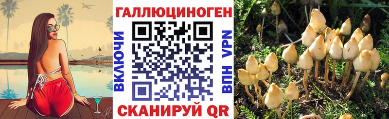 Псилоцибиновые грибы мухоморы  наркошоп  Нижнеудинск 